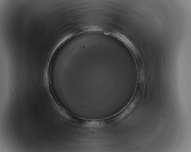 X0000100500806200806131435