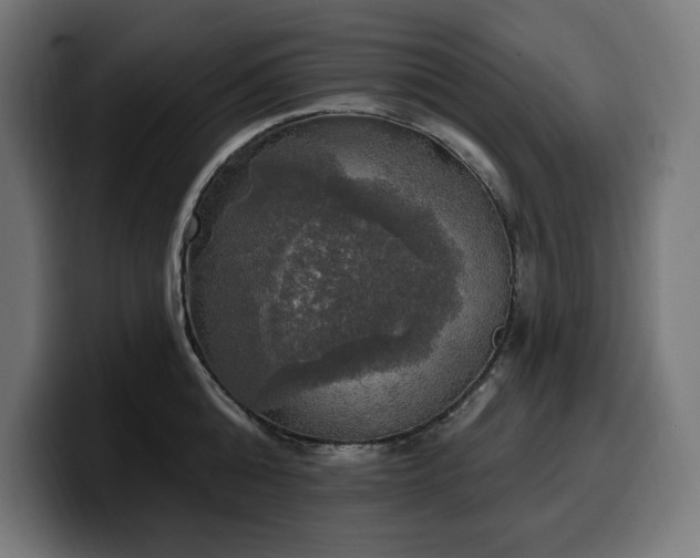 X0000100500808200806131435