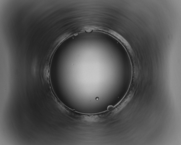 X0000100500809200806131435