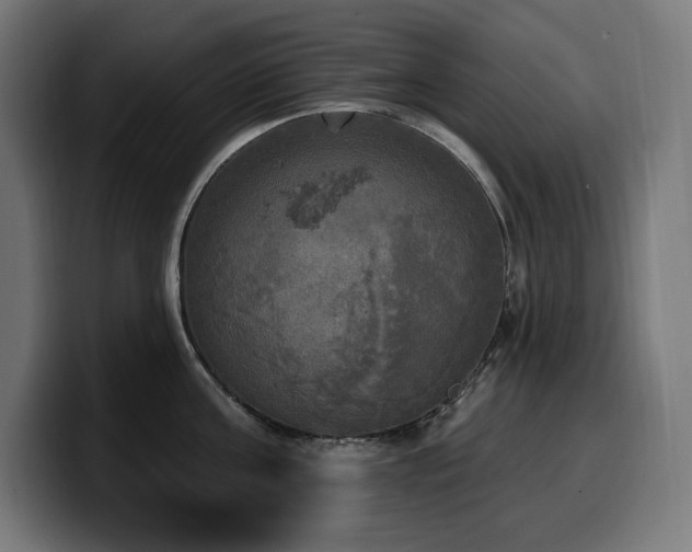 X0000100500811200806131435