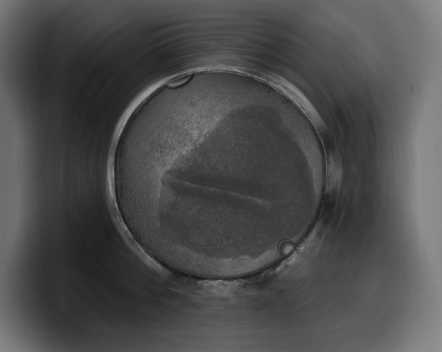 X0000100500812200806131435