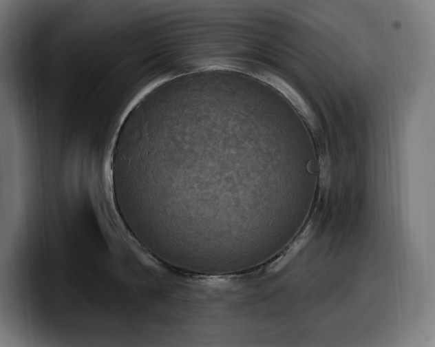 X0000100500814200806131435