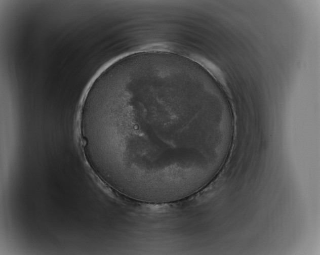 X0000100500816200806131435