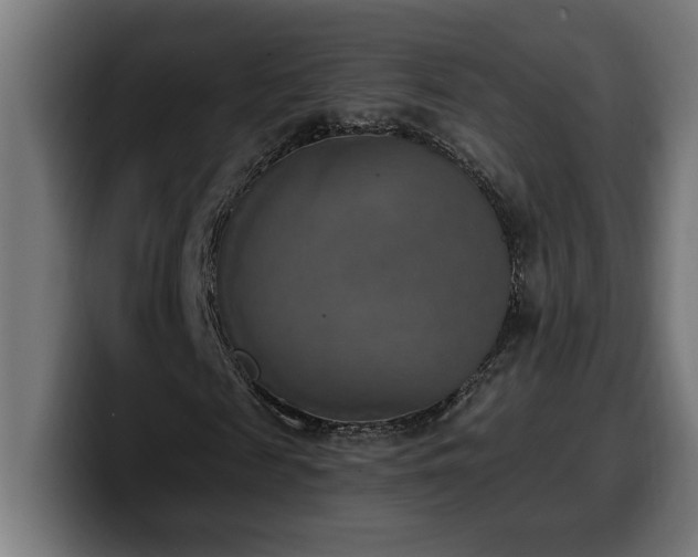 X0000100500817200806131434