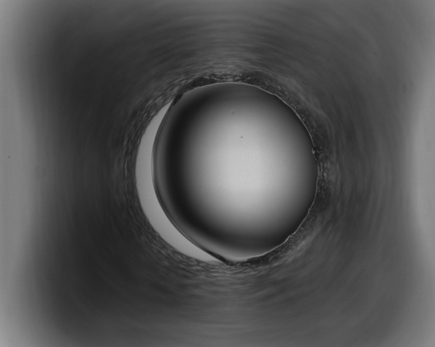 X0000100500818200806131434