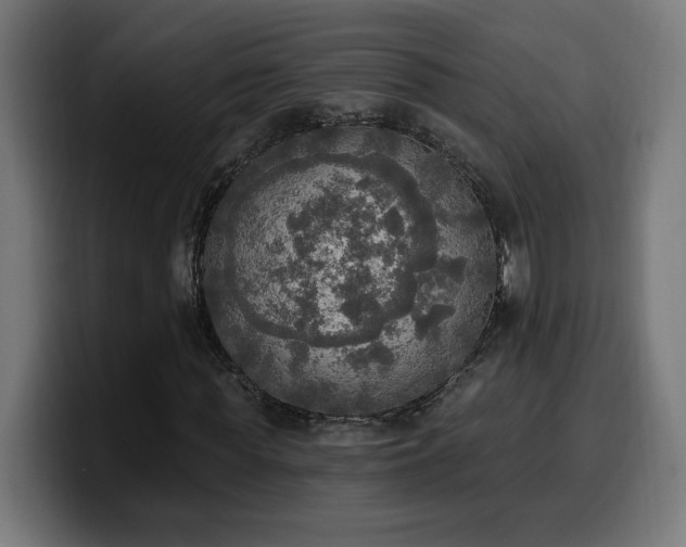 X0000100500819200806131434