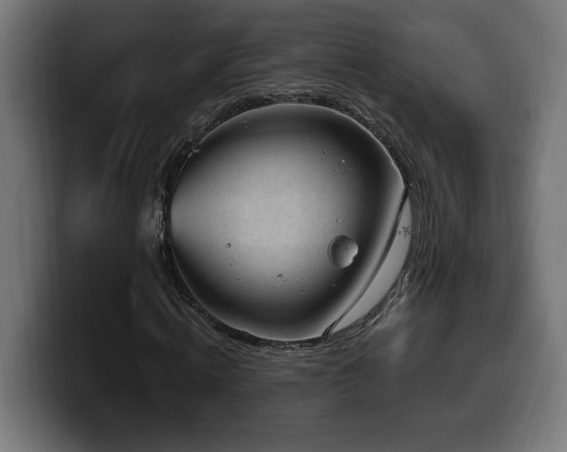 X0000100500820200806131434