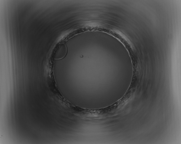 X0000100500823200806131434