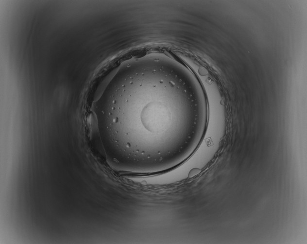 X0000100500824200806131434