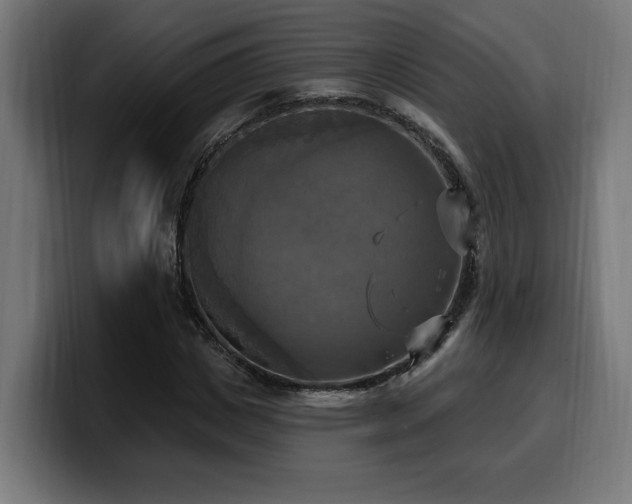 X0000100500825200806131434