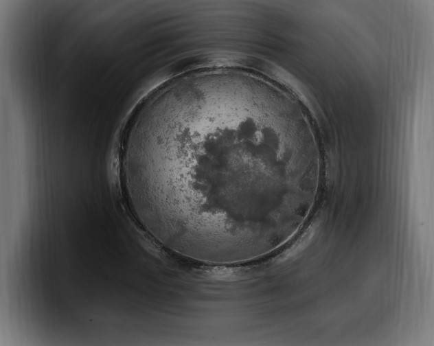 X0000100500827200806131434