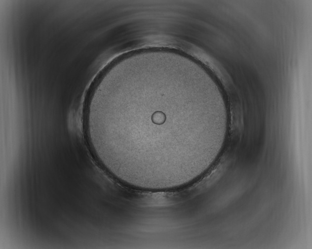 X0000100500828200806131434