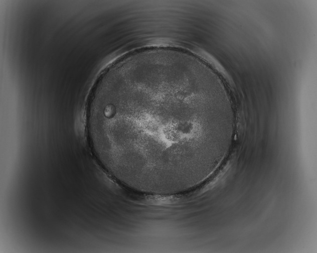 X0000100500831200806131434