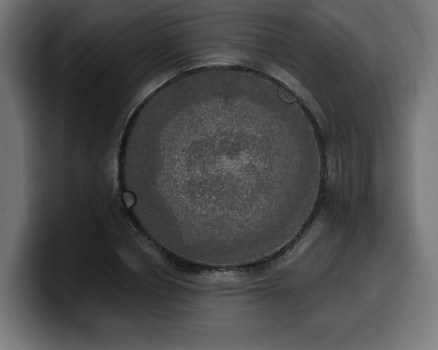 X0000100500834200806131435