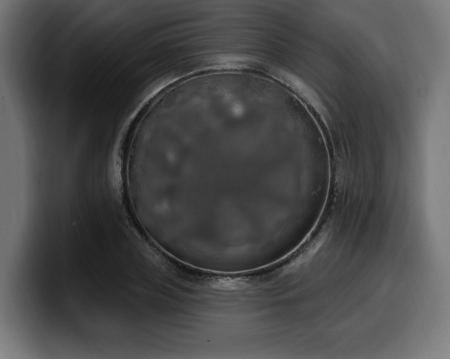 X0000100500835200806131435