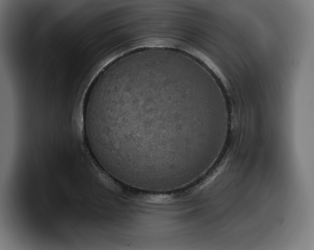 X0000100500837200806131435