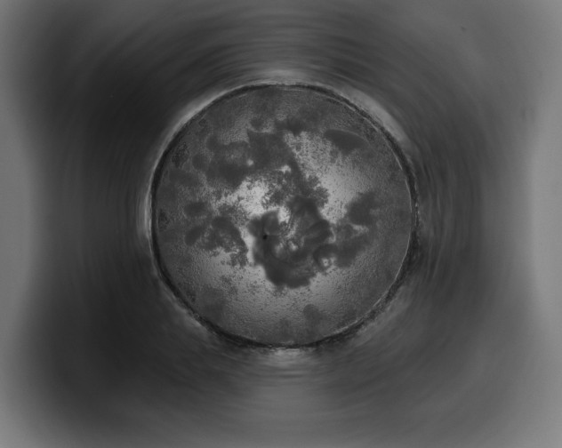 X0000100500839200806131435