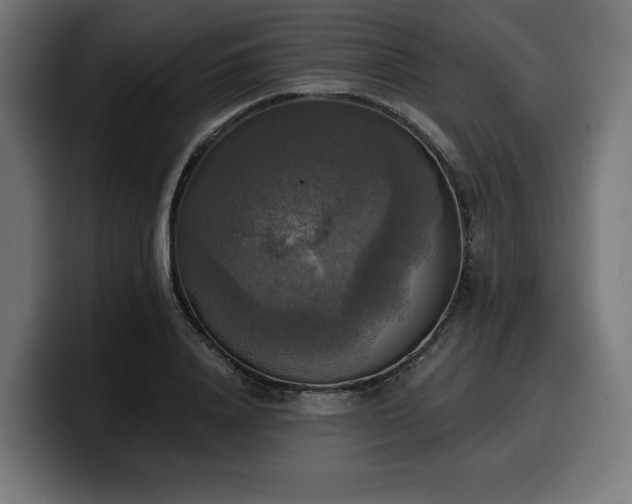 X0000100500840200806131435