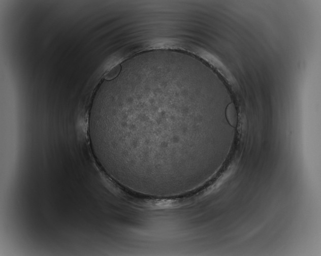 X0000100500841200806131435