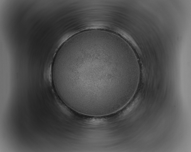 X0000100500842200806131435