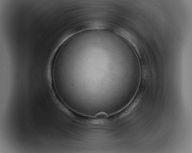 X0000100500843200806131435