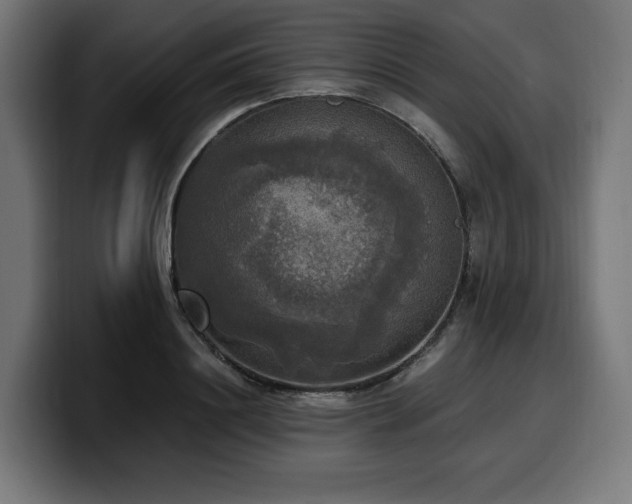 X0000100500844200806131435