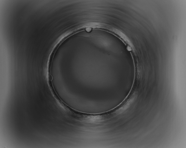 X0000100500845200806131435