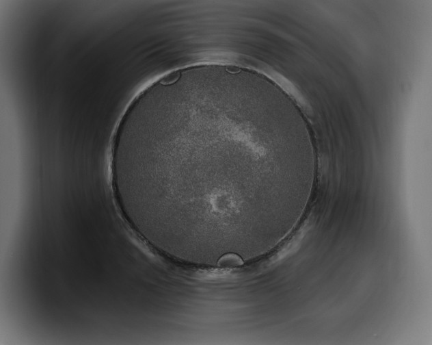 X0000100500846200806131435