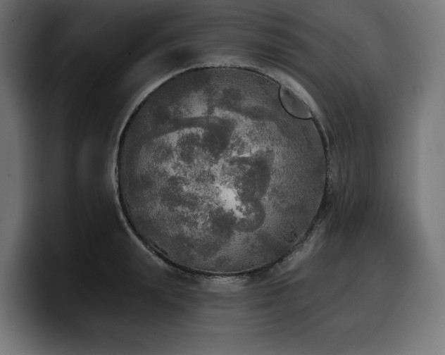 X0000100500847200806131435