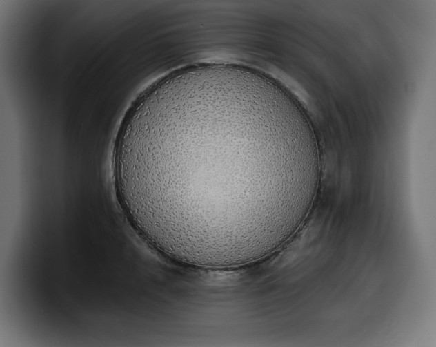 X0000100500848200806131435