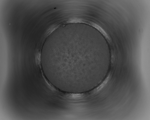 X0000100500849200806131435