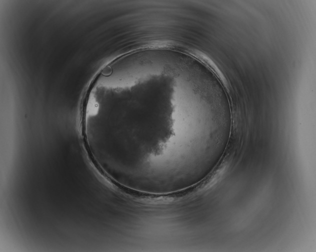 X0000100500851200806131435