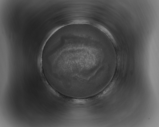 X0000100500852200806131435