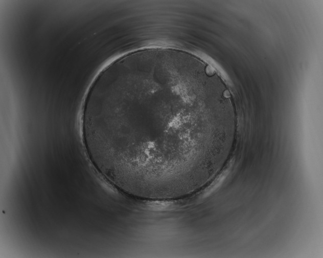 X0000100500854200806131435