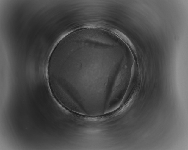 X0000100500855200806131435