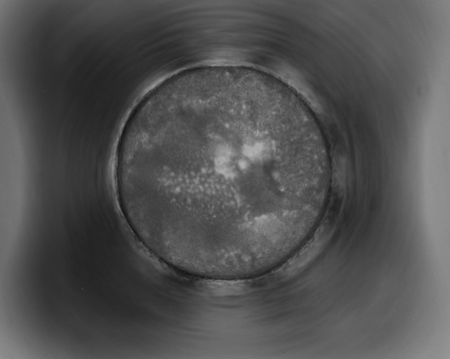 X0000100500856200806131435