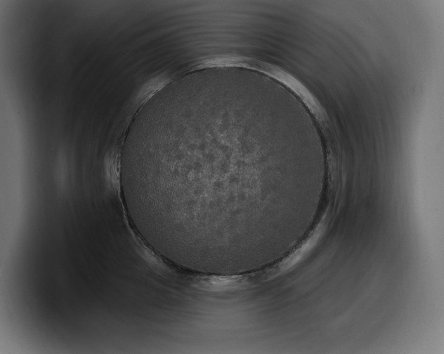 X0000100500857200806131435