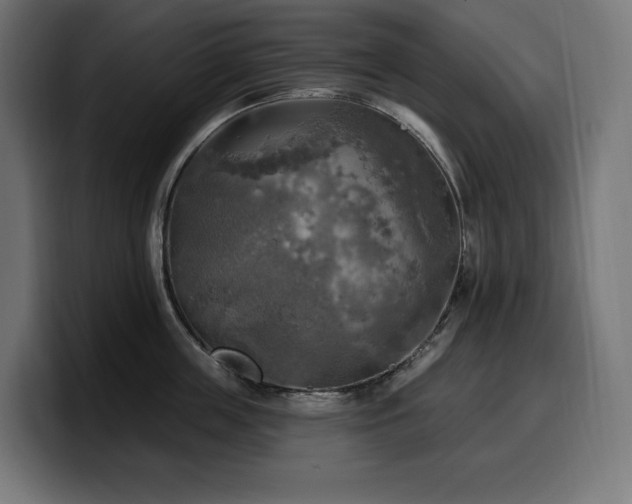 X0000100500859200806131435