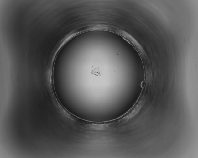 X0000100500860200806131435