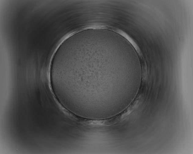 X0000100500861200806131435