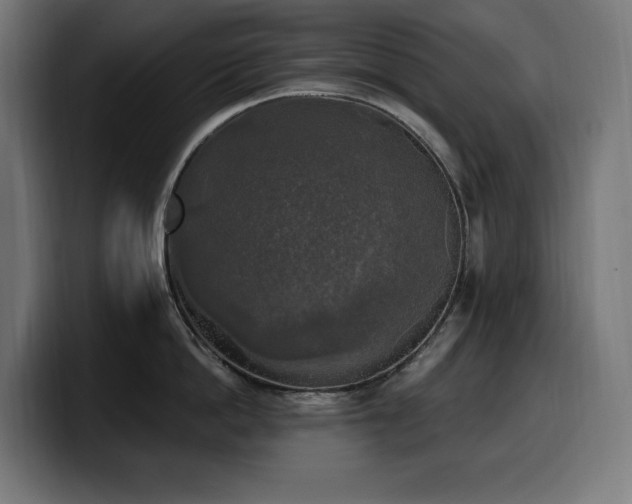 X0000100500862200806131435