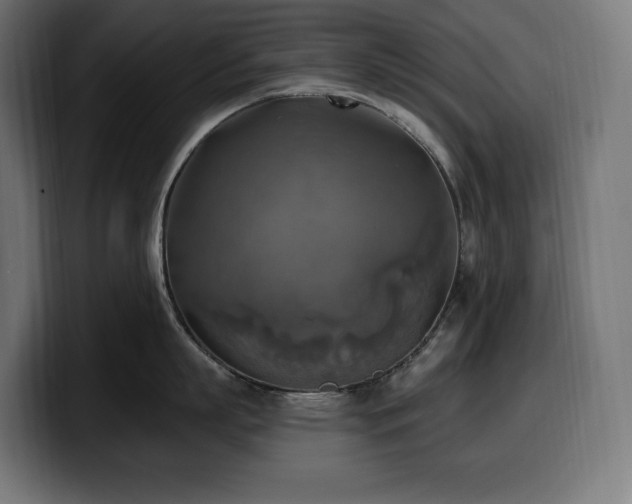 X0000100500863200806131435