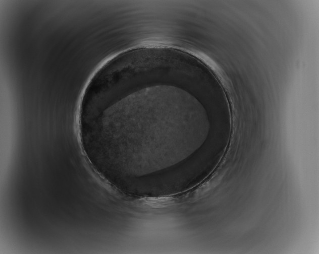 X0000100500864200806131435