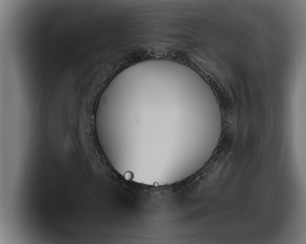 X0000100500865200806131434