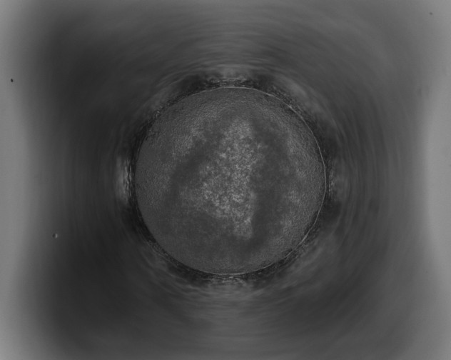 X0000100500866200806131434