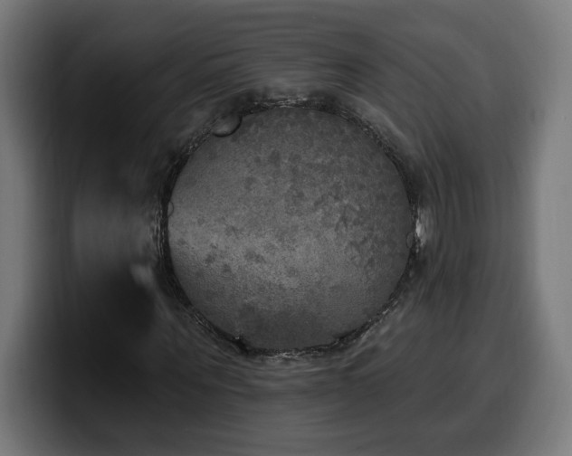 X0000100500867200806131434