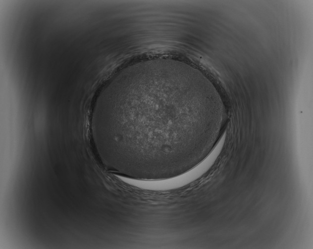 X0000100500868200806131434