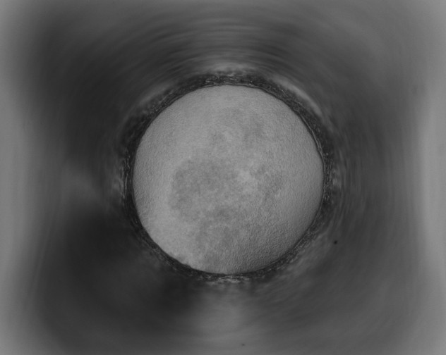 X0000100500869200806131434