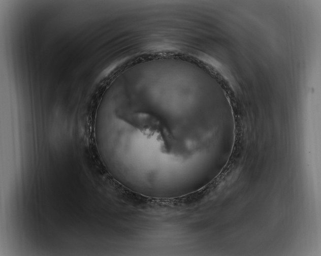 X0000100500871200806131434