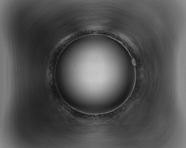 X0000100500872200806131434